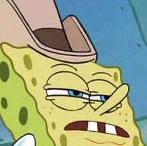 Meet your Posher, Mason